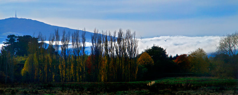 Ruahine Ranges in the Mist