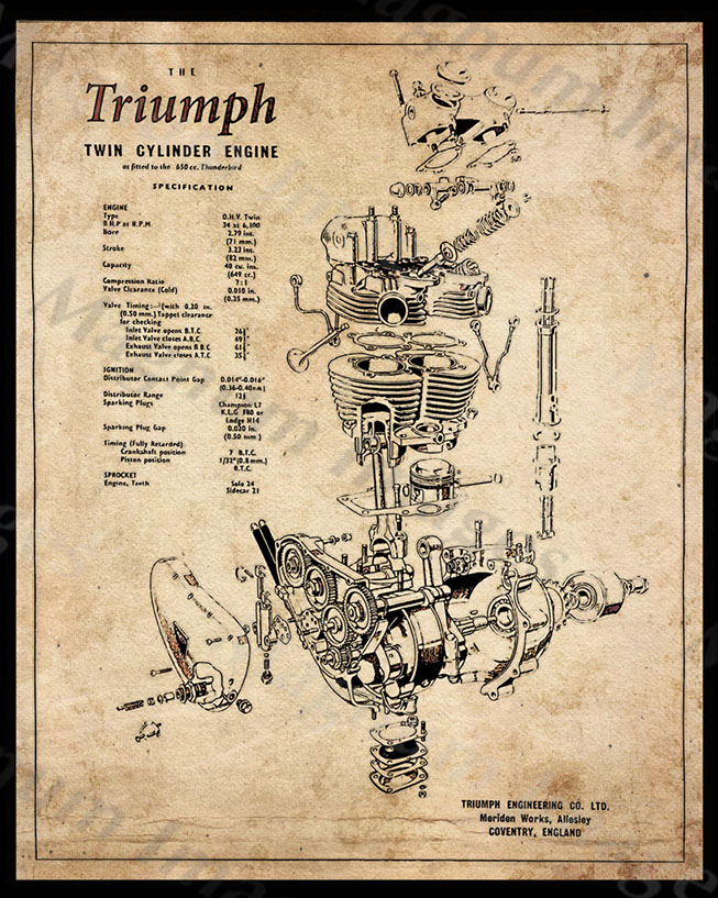 Triumph 650 Twin 1961 Vin1