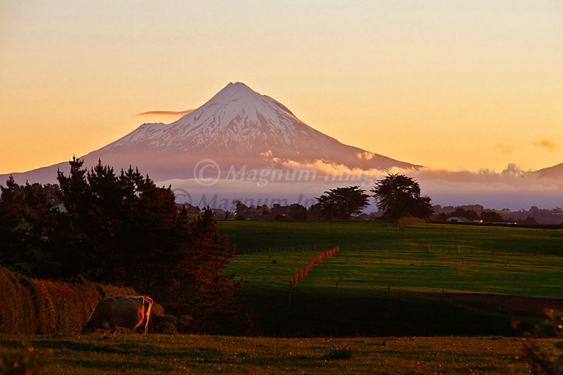 Taranaki 3